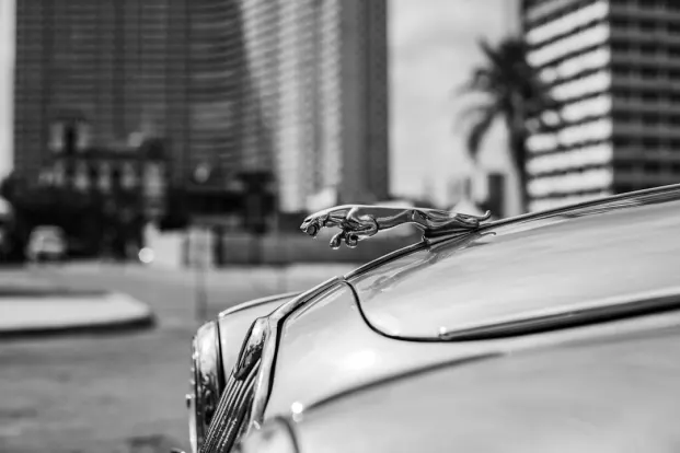 PocketWin Casino Android/iOS Forrit