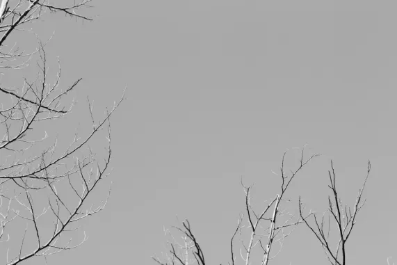 PocketWin Casino Stuðningur